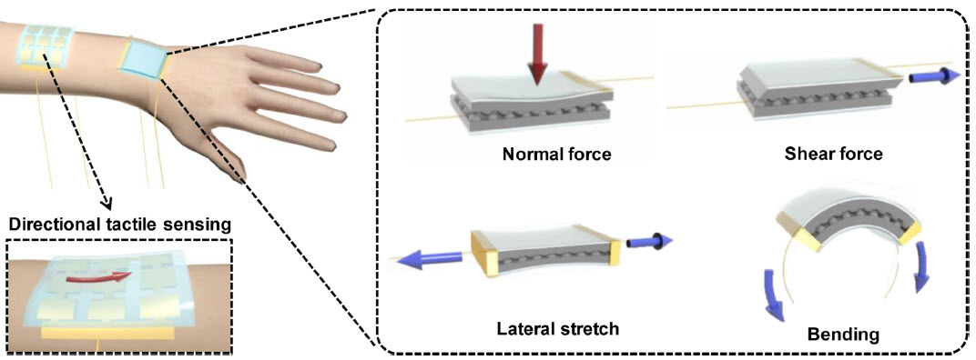 New ‘electronic skin’ detects pressure from different directions